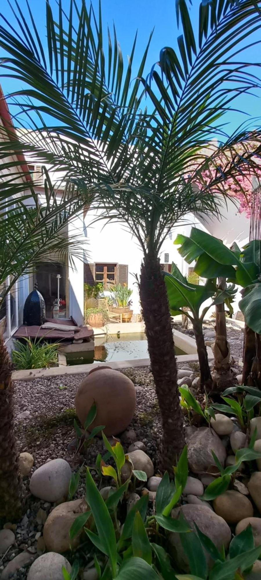 Les Jardins De Silona, Piscine Chauffee Hotel Essaouira Exterior foto