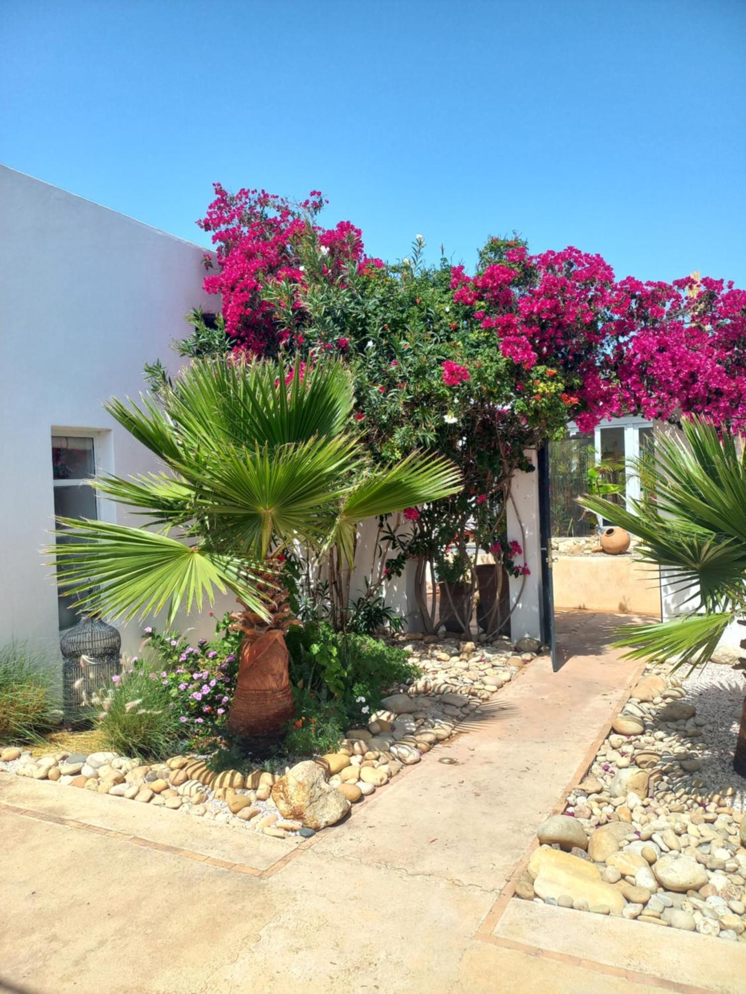 Les Jardins De Silona, Piscine Chauffee Hotel Essaouira Cameră foto
